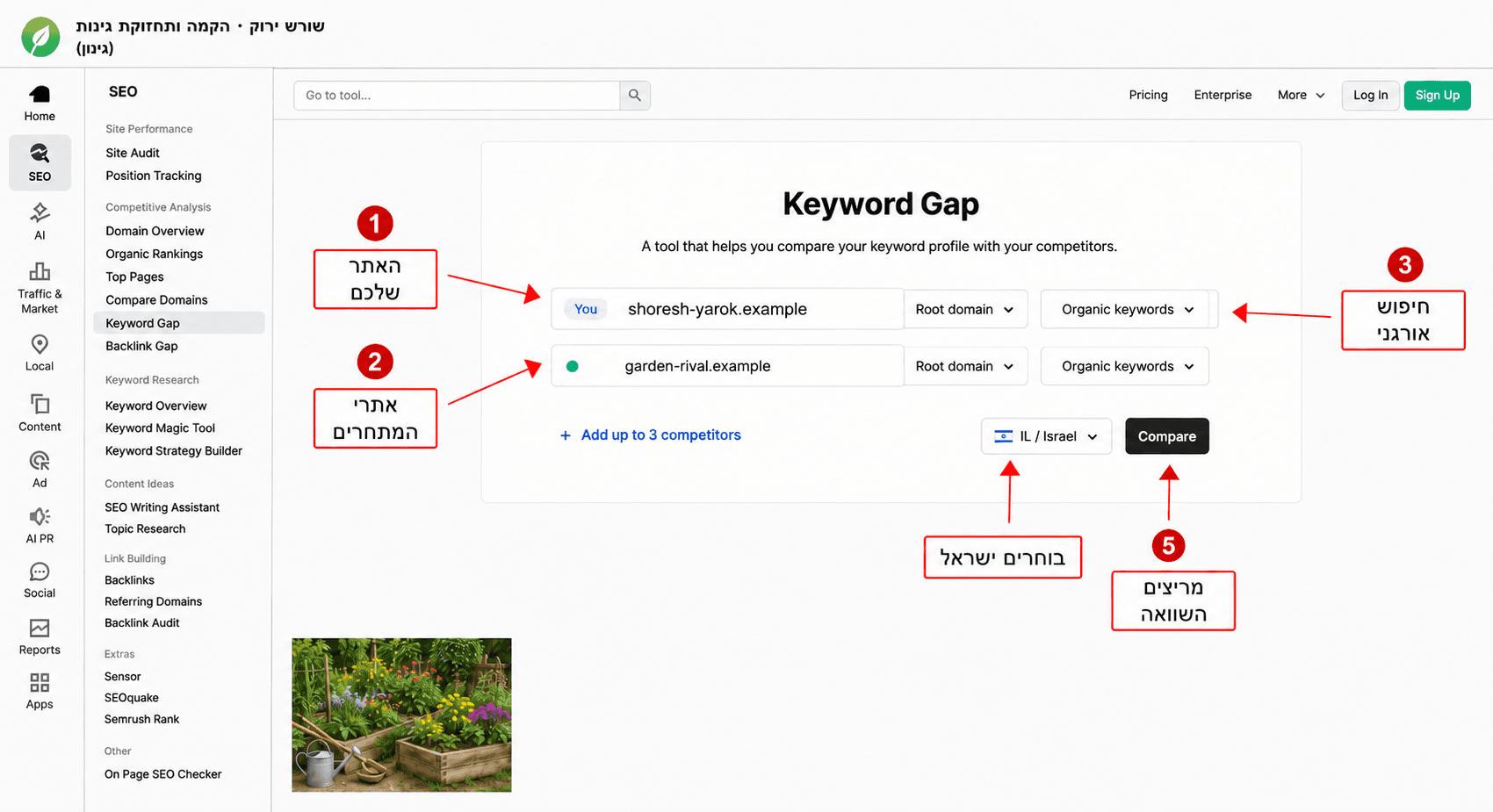 הגדרת אתר ומתחרים ב-Semrush Keyword Gap · שורש ירוק